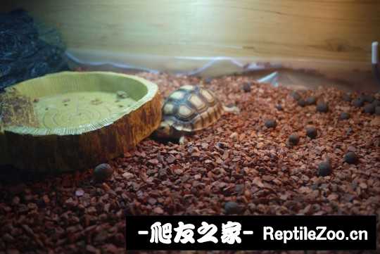 043826sbboodojrboh9r9r.jpg