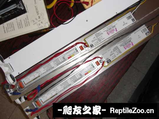 044406ic93e7gc33cw9jmy.jpg