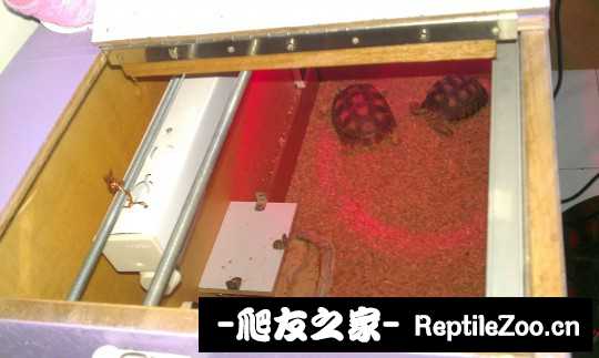 045158mtr5tpizwlin7wtp.jpg