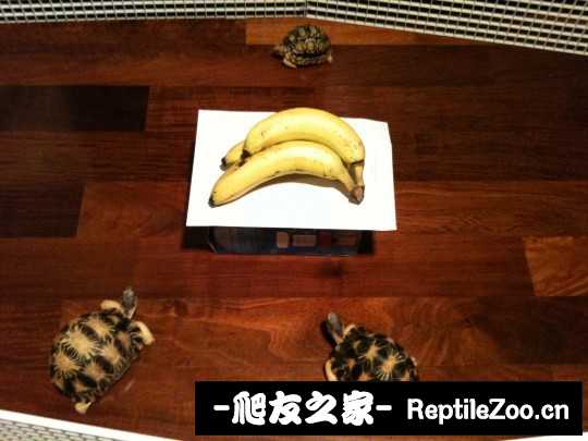 045235xu02oxh6azfl42hx.jpg