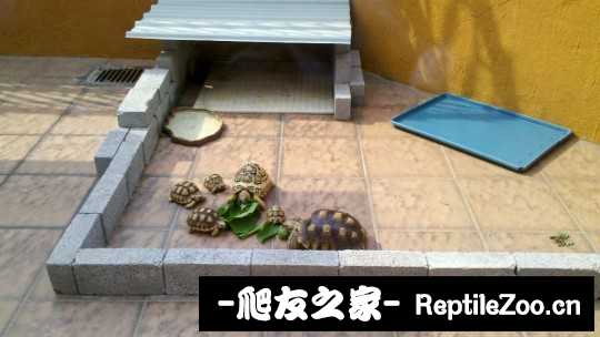 045302gllf67raxfxfva7u.jpg