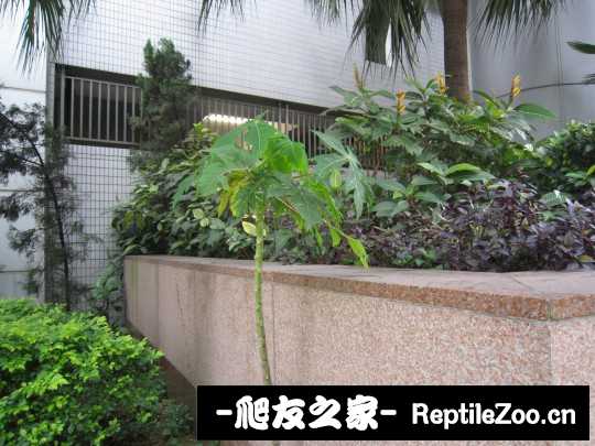 062510dh8rmb7kmwfzmg8p.jpg