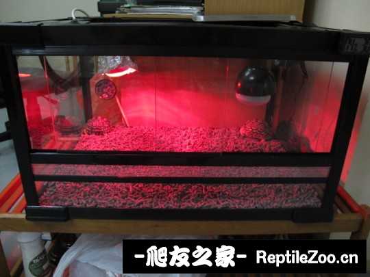 134525v713iii1aag13ms7.jpg