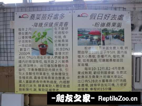 135345stj06ywq2v6rt4f6.jpg