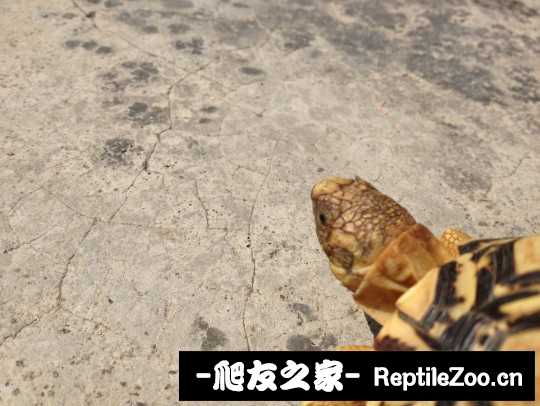 135358w2z8mmdbzyy5rcy8.jpg