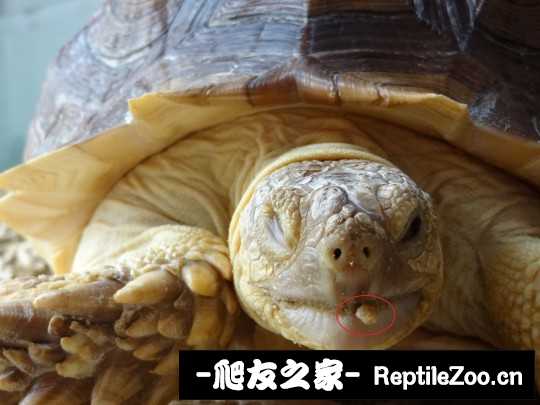 135752yelfky55t2kk3thx.jpg