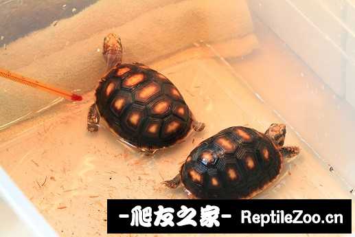 135840su73bu3pj44uuzfu.jpg