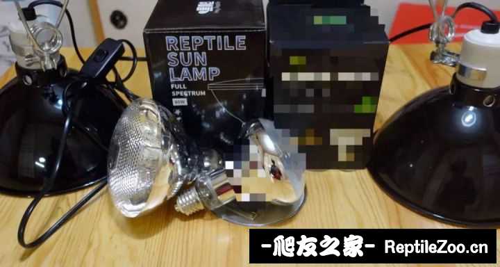 v2-17f685c212b90af7a8243ab4a44920dc_720w.jpg