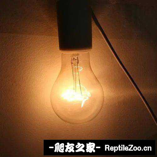 v2-54240e7362bd86656c62d6497ffd7989_720w.jpg