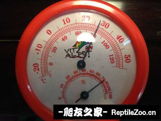 230147dq2dry7f7pqyqpp5.jpg