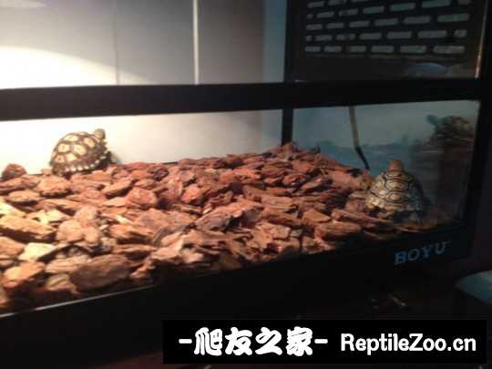 230148c77017xvm7yuxmsu.jpg