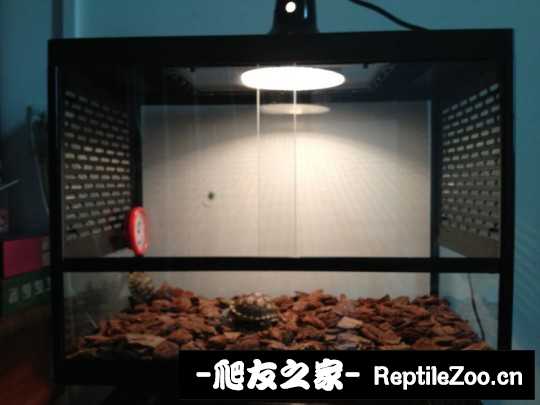 230148n1r3iqmarp37aq3a.jpg