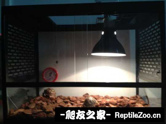 230148o1ulcjrkrkrljb5j.jpg