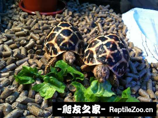 231019g8u4p4s4uddquv18.jpg