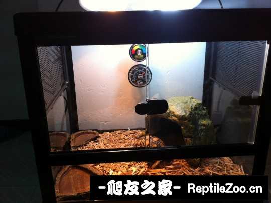 231352mzys8tkf8tefgtfp.jpg