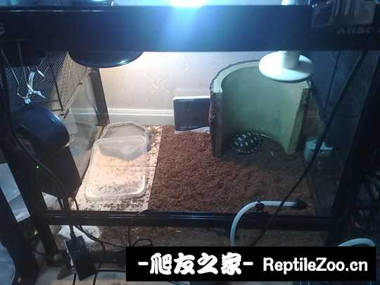 231807ki25ly7iinozcznq.jpg