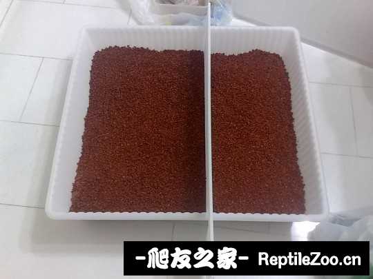 231808pw2wpcay5ymmz1cf.jpg