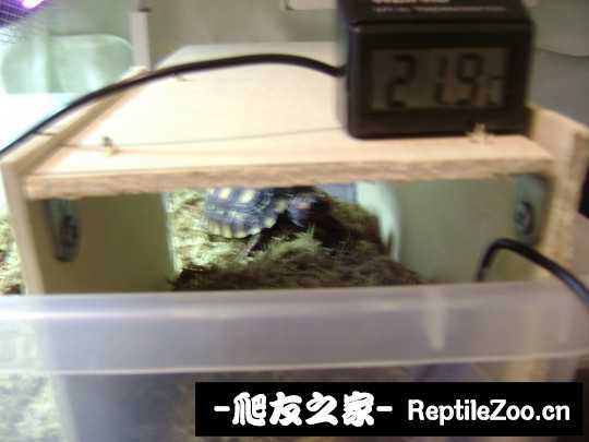 233151cf22sp2ptz9oufuf.jpg