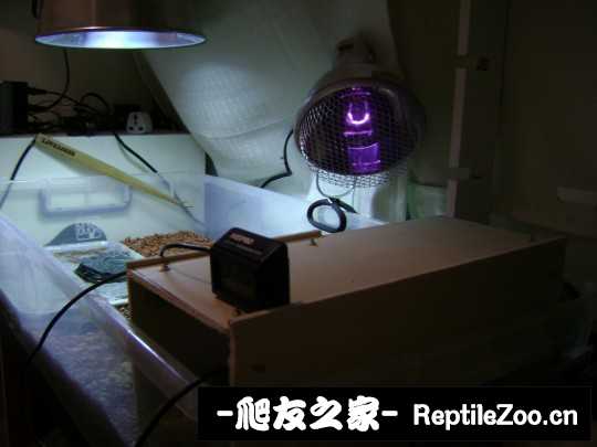 233152xzoucjopqwlspr4j.jpg