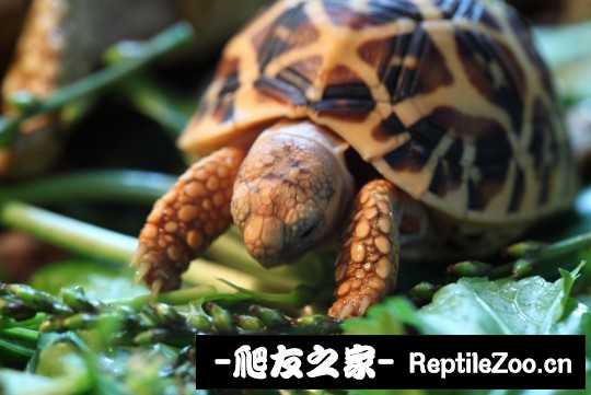 233608rf38gz1jj1p2p384.jpg