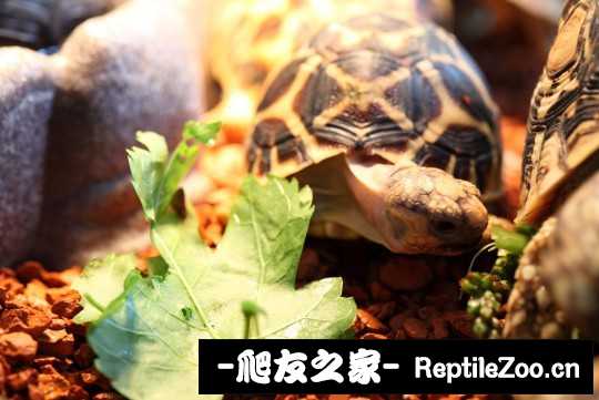 233609lzt9hdwqd39rwt5t.jpg