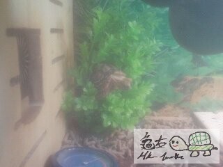 234050lg49332j2h2j8an8.jpg