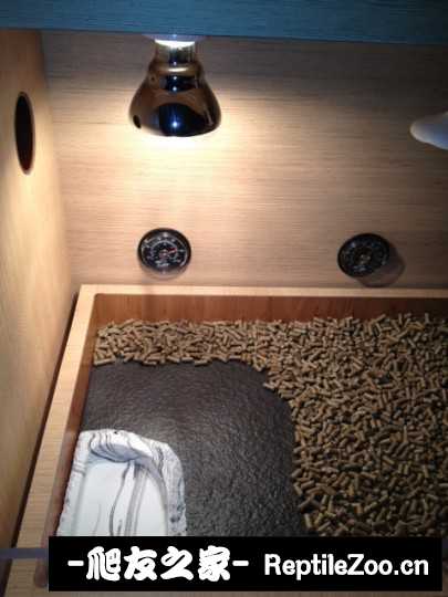 234129ksegg8xdx363aqqx.jpg