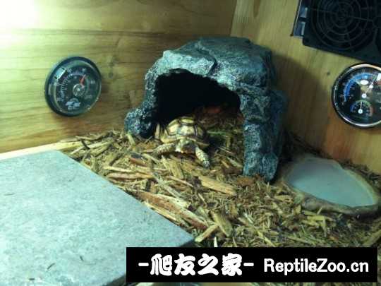 234227ol4zdhzplpf57lj2.jpg