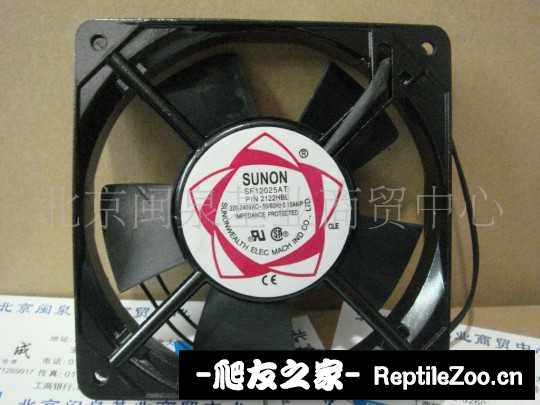 234237r68wpzr812z8716u.jpg