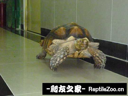 234456c7z65snvm5v3nk73.jpg