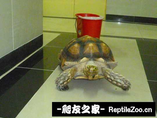 234457hu1axiwfa6beb7w3.jpg