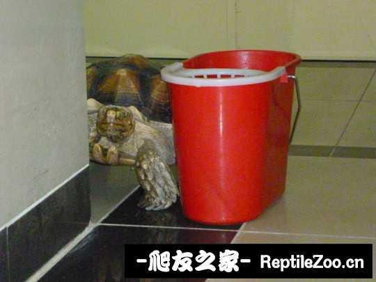 234457kvichmigeseq9ezg.jpg