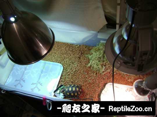234521nrx6zprxr14j4rjq.jpg