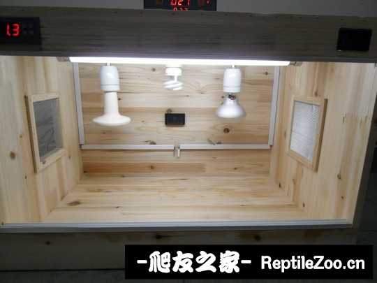 234710ighqil0pqfgl8hqq.jpg