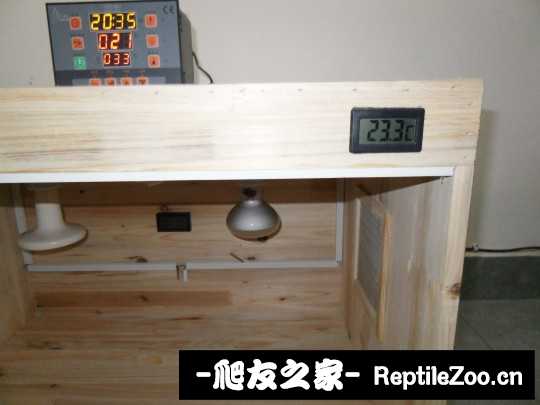 234712dhdqdxxmpdzxobed.jpg