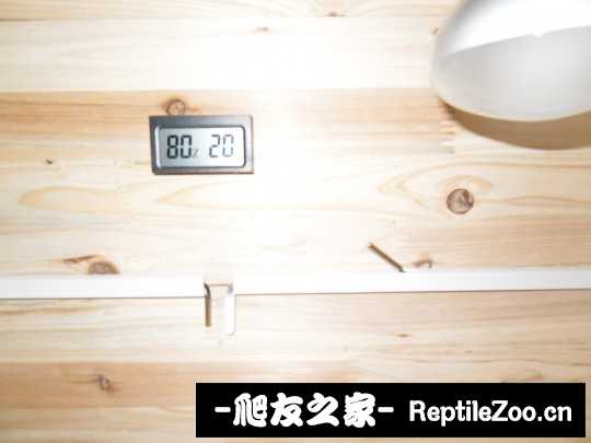 234713jtyw98qt1tttt9tf.jpg