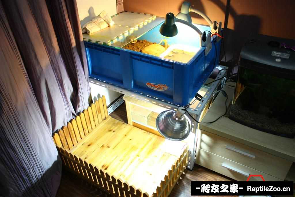 234816hz0uyyfger31pu25.jpg