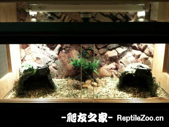 234829jpontnwzatpnmrr1.jpg