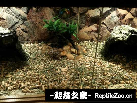 234829ngek8sphgg6crmg8.jpg