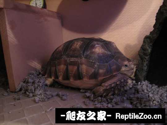 234910u6vxpsgxzzdjvxu9.jpg