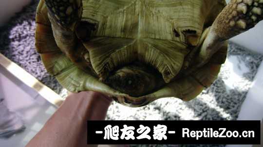 235009t8tphi9ha9t84mio.jpg