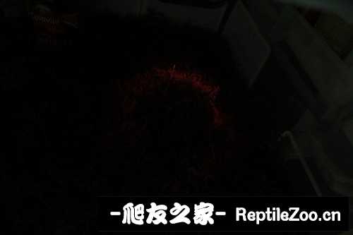235314bqnhqbwgc7qhikd7.jpg