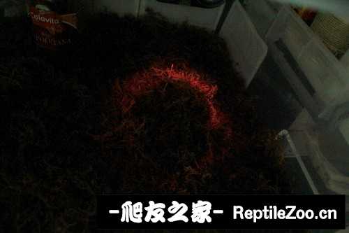 235314ijrx34zpo133zp6z.jpg