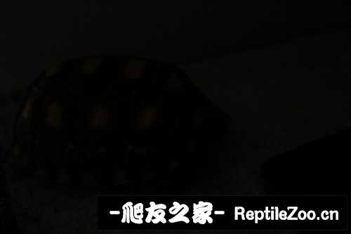 235314v5egtt9crz59xcxi.jpg