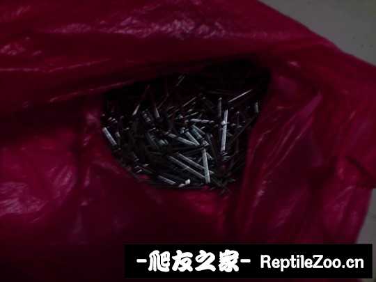 235437mzue1roouooeaugo.jpg