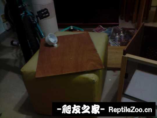 235437ulw122iei2dgol52.jpg