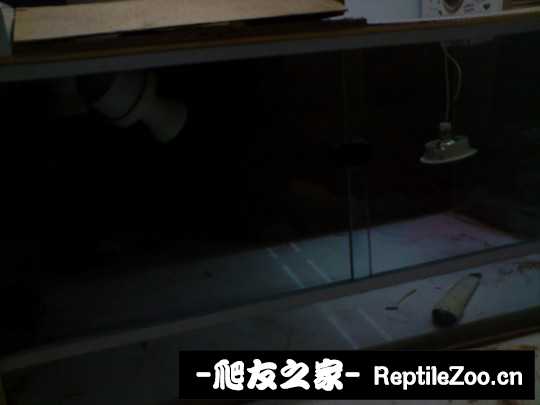 235441qjj6kju9vpuuumj9.jpg