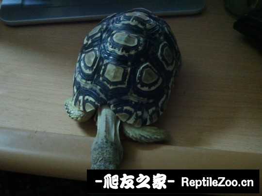 000930gfzobc4o4uiqf3zq.jpg