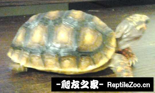 000952whvvnnmf37z77t9p.jpg