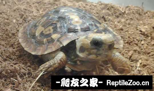 001000d43o1mjsodj7d4m7.jpg